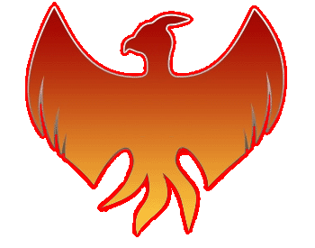 Confluence Firebirds logo.gif