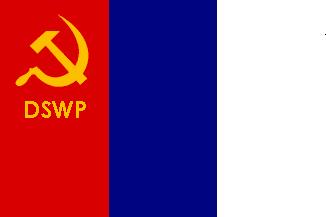 DSWPparty flag.JPG