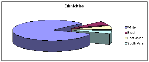 Ethnicities in the UKIN