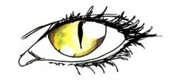 Eye yellow.JPG