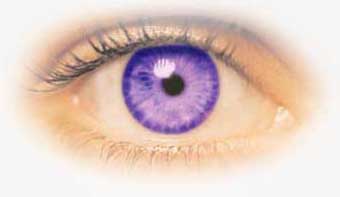 Purple eye.jpg
